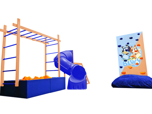 “Bluey” Playroom Bundle